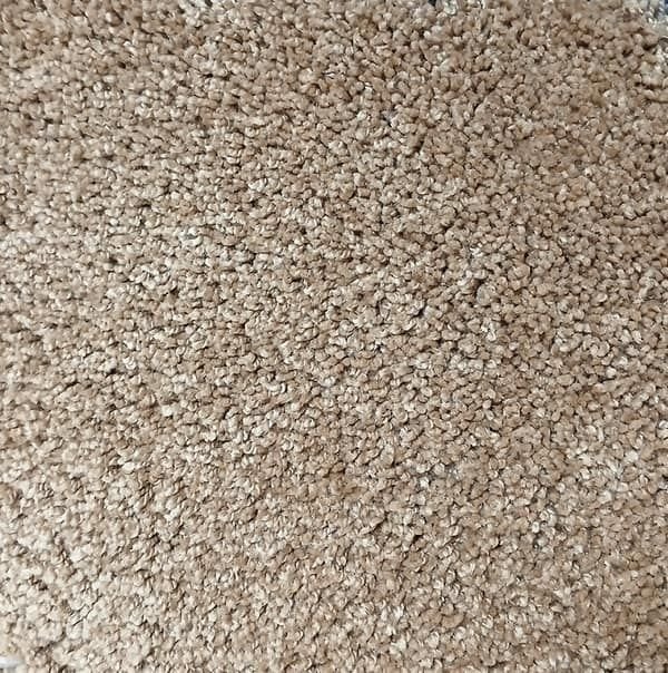 Beige shag carpet