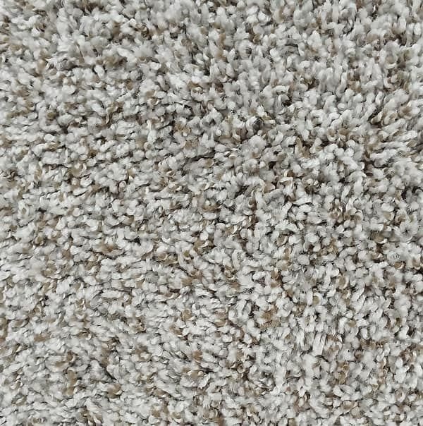 Plush almond carpet