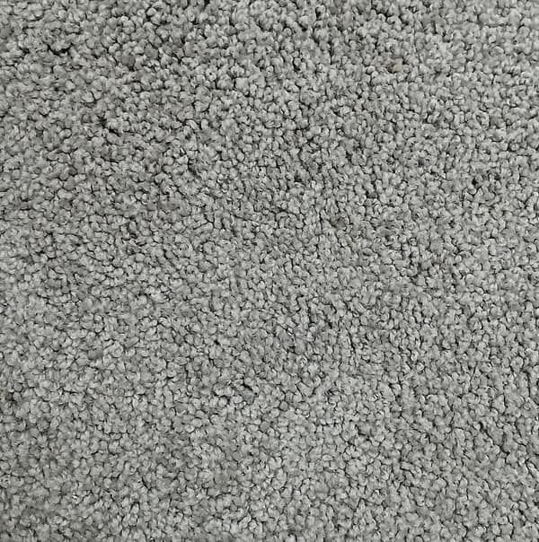 Plush gray carpet